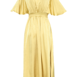 GISELA-DR29